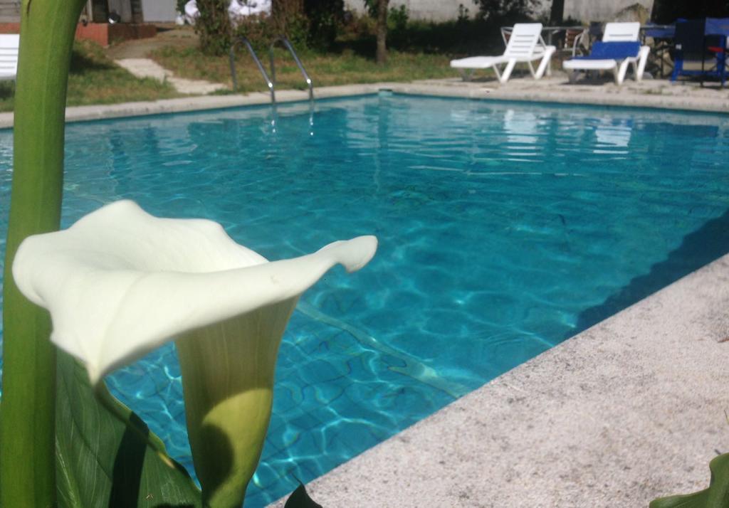 Hotel Vida Playa Paxarinas